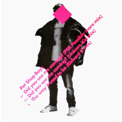 Pet Shop Boys Did You See Me Coming? Vinyl 12" USED