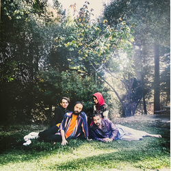 Big Thief U.F.O.F. Vinyl LP USED