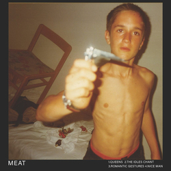 Idles Meat EP / Meta EP Vinyl 12" USED
