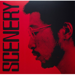 Ryo Fukui Scenery Vinyl LP USED