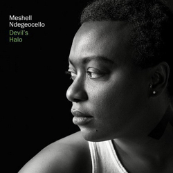 Me'Shell NdegéOcello Devil's Halo Vinyl LP USED