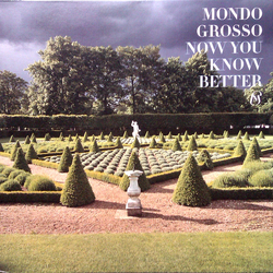 Mondo Grosso Now You Know Better Vinyl 12" USED