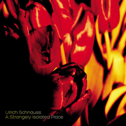 Ulrich Schnauss A Strangely Isolated Place 2xLP Album RE RM 180 - USED