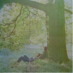John Lennon / The Plastic Ono Band John Lennon / Plastic Ono Band LP Album RE RM 180 - USED