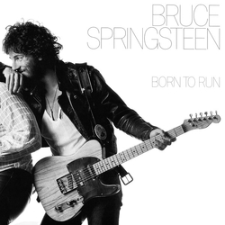 Bruce Springsteen Born To Run LP Album RE RM 180 - USED