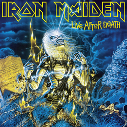 Iron Maiden Live After Death 2xLP Album RE RM 180 - USED