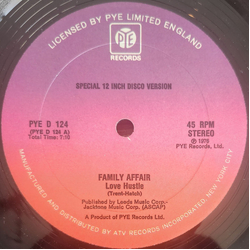 Family Affair Love Hustle Vinyl 12" USED