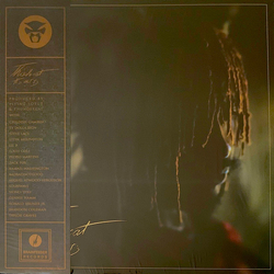 Thundercat It Is What It Is Vinyl LP USED
