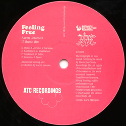 Nicole Willis / The Soul Investigators Feeling Free (Remixes) (Part 2) Vinyl 12" USED