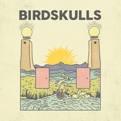 Birdskulls S/T Vinyl 12" USED