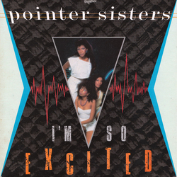 Pointer Sisters I'm So Excited Vinyl 7" USED