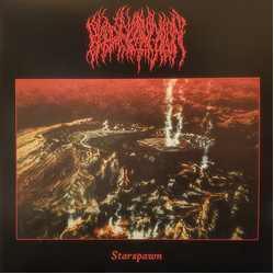 Blood Incantation Starspawn Vinyl LP USED