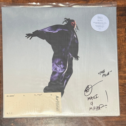 Mavi (12) The Pilot Vinyl LP USED