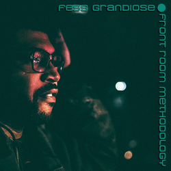 Fess Grandiose Front Room Methodology Vinyl LP USED
