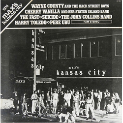 Various 1976 Max's Kansas City Vinyl LP USED