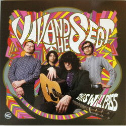 Viv And The Sect This Will Pass Vinyl LP USED