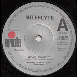 Niteflyte If You Want It Vinyl 7" USED