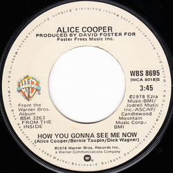 Alice Cooper How You Gonna See Me Now Vinyl 7" USED