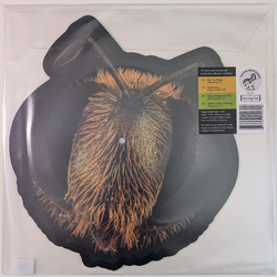King Gizzard And The Lizard Wizard Big Fig Wasp Vinyl 7" USED