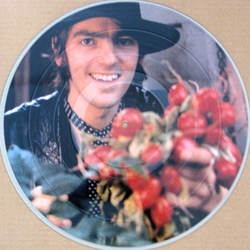 Robyn Hitchcock Exploding In Silence Vinyl 12" USED