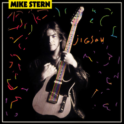 Mike Stern Jigsaw Vinyl LP USED