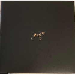 Delta Rae The Dark Vinyl LP USED