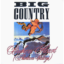 Big Country Broken Heart (Thirteen Valleys) Vinyl 12" USED