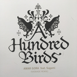 A Hundred Birds / Sugami Amar Gora Vinyl 12" USED