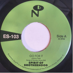 Spirit Of Brotherhood Go For It Vinyl 7" USED