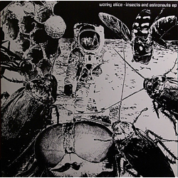 Wonky Alice Insects And Astronauts EP Vinyl 12" USED
