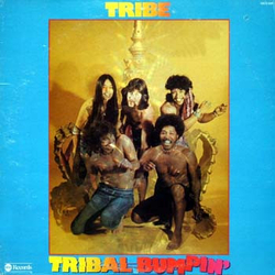 Tribe Tribal Bumpin' Vinyl LP USED