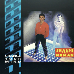 Sharpe & Numan Change Your Mind Vinyl 12" USED