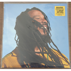 Ziggy Marley Brightside Vinyl LP USED