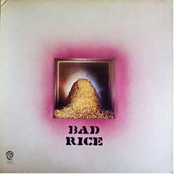 Ron Nagle Bad Rice Vinyl LP USED