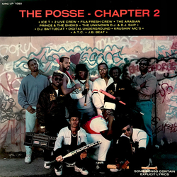 Various The Posse - Chapter 2 Vinyl LP USED