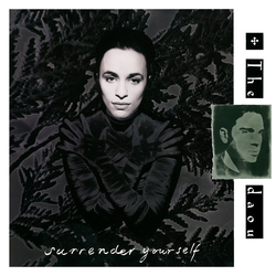 The Daou Surrender Yourself Vinyl 12" USED