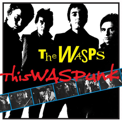 The Wasps This WAS Punk Vinyl LP USED