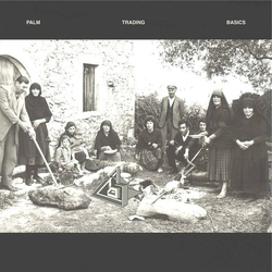 Palm Trading Basics Vinyl LP USED