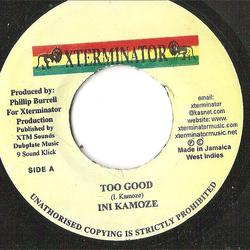 Ini Kamoze Too Good Vinyl 7" USED