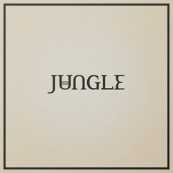 Jungle (12) Loving In Stereo Vinyl LP USED