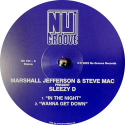 Marshall Jefferson / Steve Mac / Sleezy D. / Juliet Mendoza In The Night Vinyl 12" USED