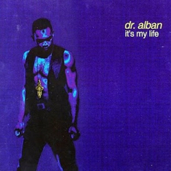 Dr. Alban It's My Life Vinyl 12" USED