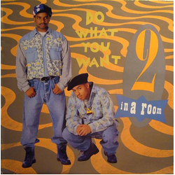 2 In A Room Do What You Want Vinyl 12" USED