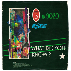 Buzzcocks What Do You Know? / Running Free Vinyl 7" USED
