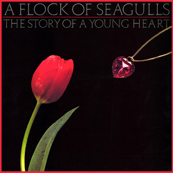A Flock Of Seagulls The Story Of A Young Heart Vinyl LP USED