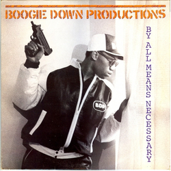 Boogie Down Productions By All Means Necessary Vinyl LP USED