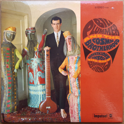 Bill Plummer & The Cosmic Brotherhood Bill Plummer And The Cosmic Brotherhood Vinyl LP USED