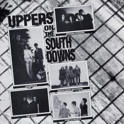 Various Uppers On The South Downs Vinyl LP USED