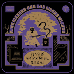 King Gizzard And The Lizard Wizard Flying Microtonal Banana (Explorations Into Microtonal Tuning Volume 1) Vinyl LP USED