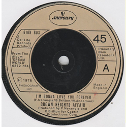 Crown Heights Affair I'm Gonna Love You Forever / Say A Prayer For Two Vinyl 7" USED